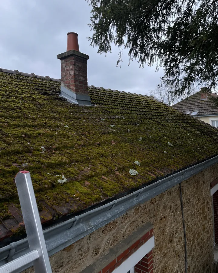 Versant de toiture en tuiles entièrement recouvert de mousse verte et de lichen, jusqu'à la souche de cheminée en brique.