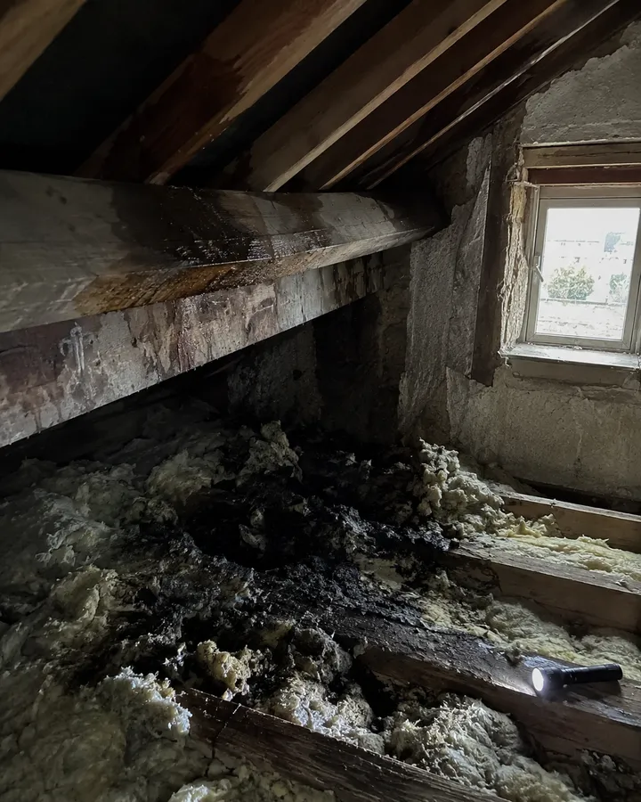 Comble vu de l'intérieur : laine de verre gorgée d'eau et noircie sous le point de fuite, chevrons tachés, lampe torche posée.